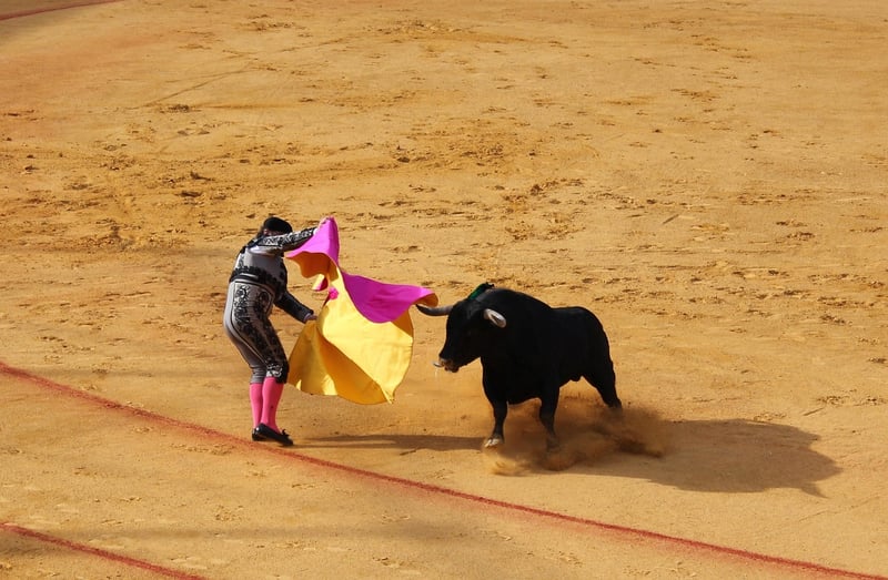 Bull Market